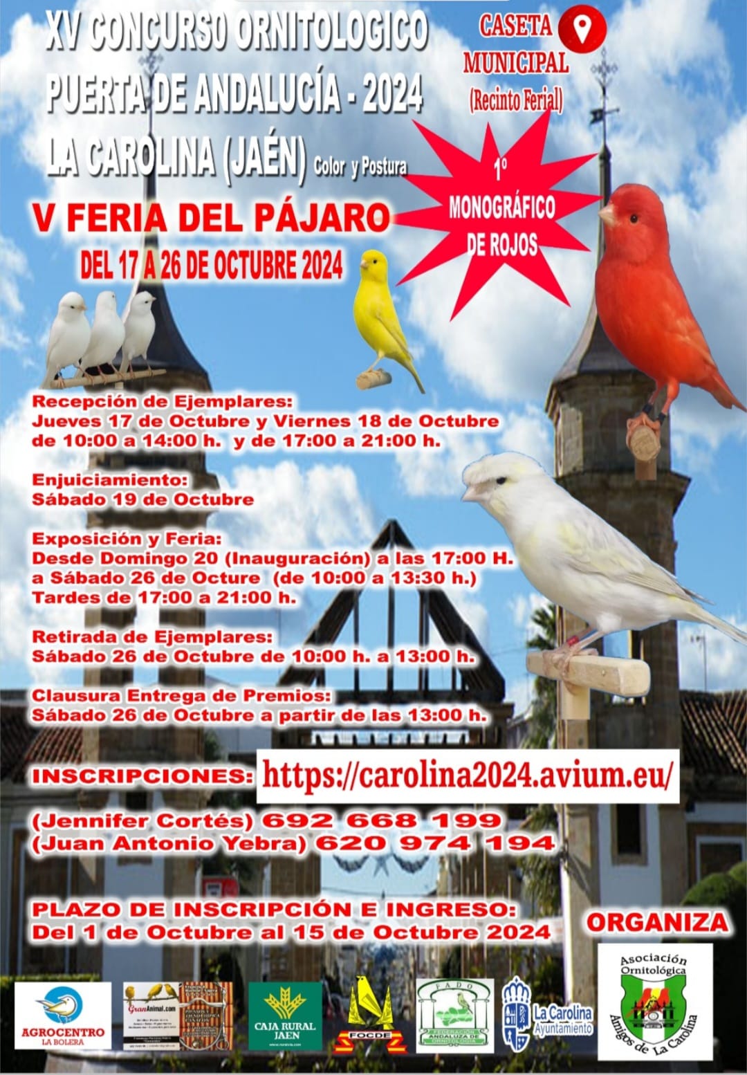 XV CONCURSO ORNITOL GICO PUERTADE ANDALUC A 2024 LA CAROLINA JA N xv-concurso-ornitol-gico-puertade-andaluc-a-2024-la-carolina-ja-n